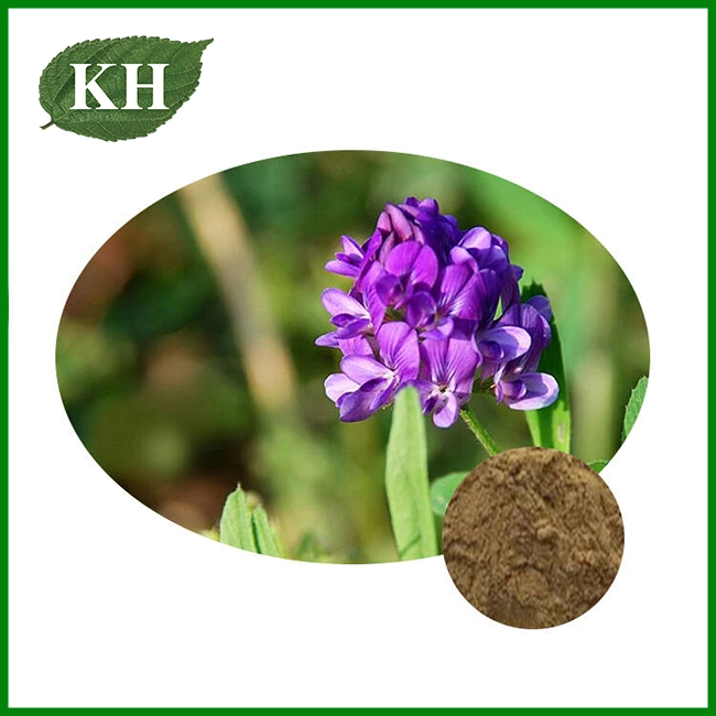 Alfalfa extract Alfalfa extract